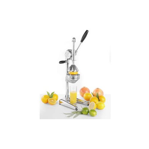  Amalfi citrus press Metal Stainless steel Cijene