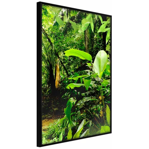  Poster - In the Rainforest 30x45