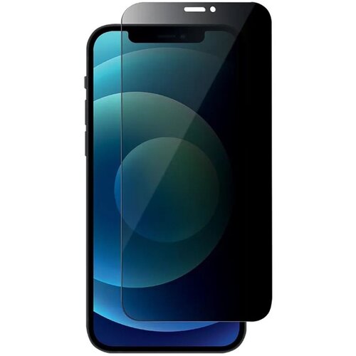 Evelatus Full Cover 2.5D Privacy Glass za Apple iPhone 12 Pro Max Anti-Static / Japan Glue Black, (21206460) Slike
