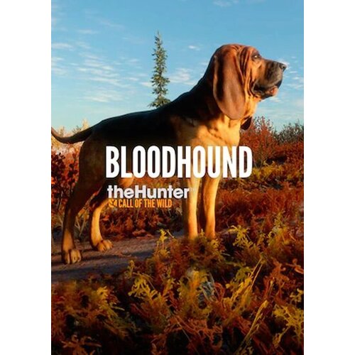 Steam theHunter: Call of the Wild - Bloodhound (DLC) (PC) Key GLOBAL Cene