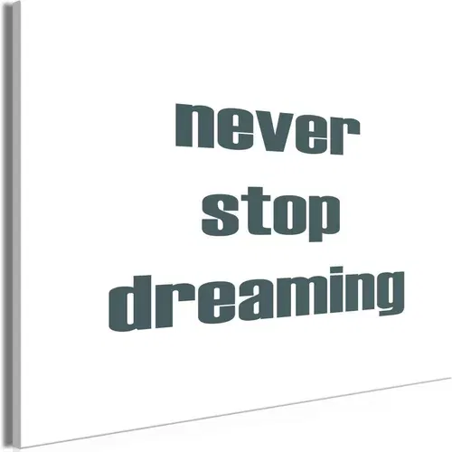  Slika - Never Stop Dreaming (1 Part) Wide 90x60