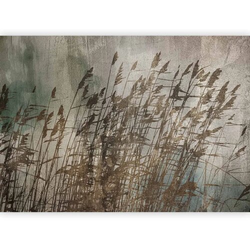  Foto tapeta - Water Grasses 100x70 Slike