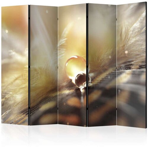  Paravan u 5 dijelova - Magic Feather II [Room Divider] 225x172 Cijene