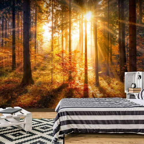  Samoljepljiva foto tapeta - Autumn Awakening 441x315 Slike