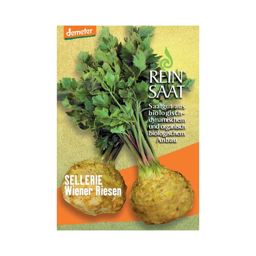 ReinSaat Zelena "Wiener Riesen" Cene