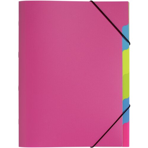 Pagna Organizator mapa Funky School, DIN A4, PP, 5 predelkov, (21651913) Cene