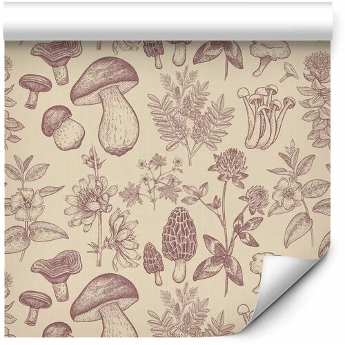  Tapeta - Beige mushrooms and herbs 50x1000 Slike
