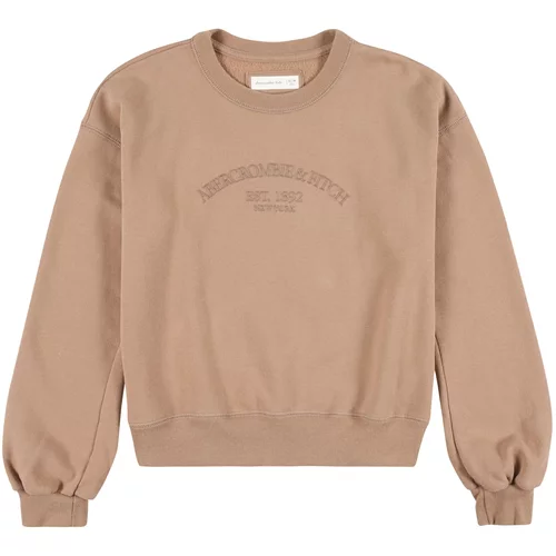 Abercrombie & Fitch Sweater majica smeđa