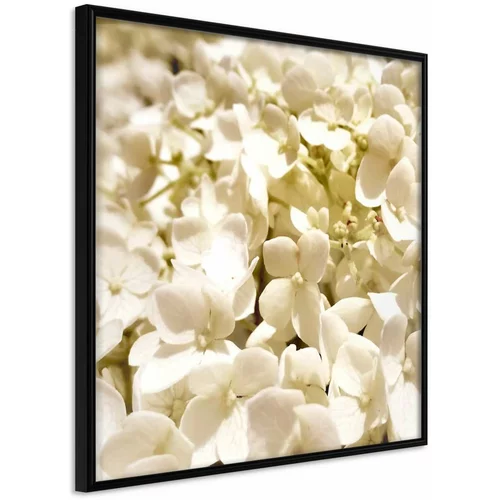  Poster - Soothing Flowers 20x20