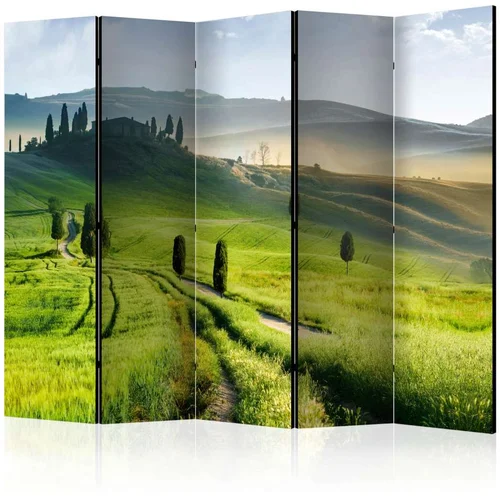  Paravan u 5 dijelova - Morning in the countryside II [Room Dividers] 225x172