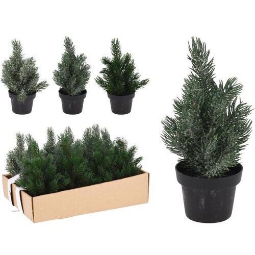  BOR 22CM U SAKSIJI SORTO Cene