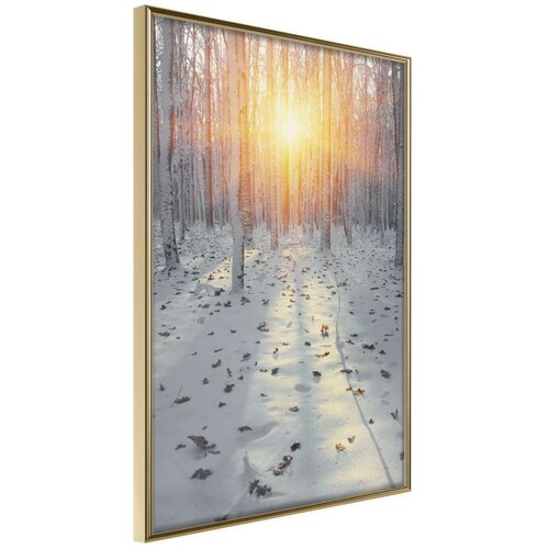 Poster - Frosty Sunset 40x60 Slike