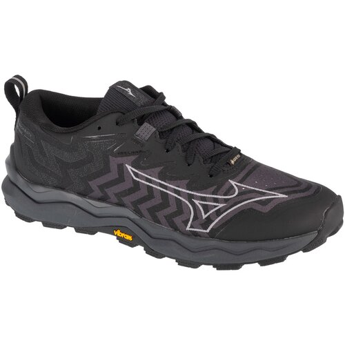 Mizuno Wave Daichi 8 GTX Crna Cijene