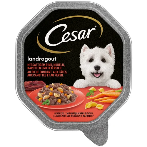  15 % popusta! Cesar mješovito pakiranje - Seoski ragu s govedinom, tjesteninom i mrkvom (14 x 150 g)