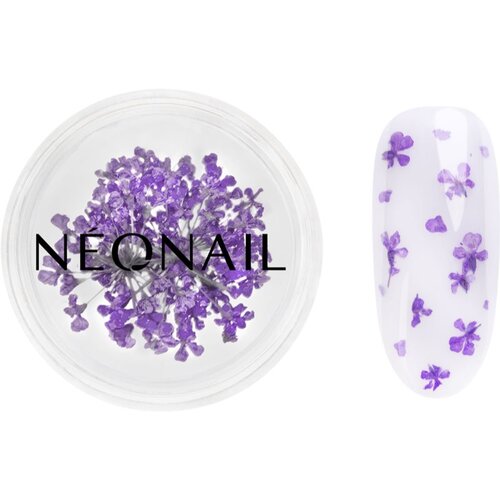 NeoNail Dried Flowers sušen cvet za nohte odtenek 06 Violet 1 kos Cene