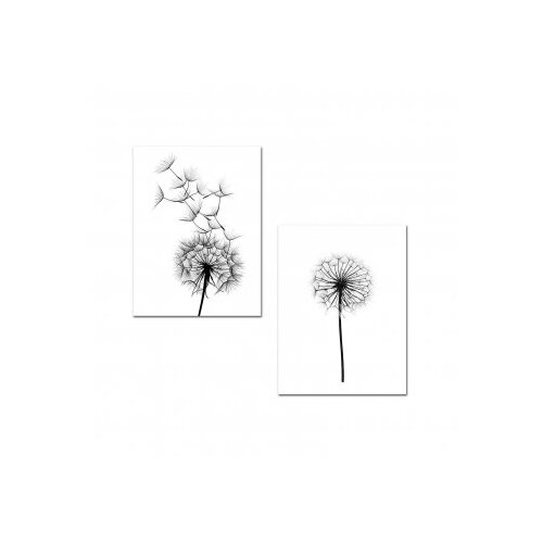  Slika dandelion 40x62cm Cene