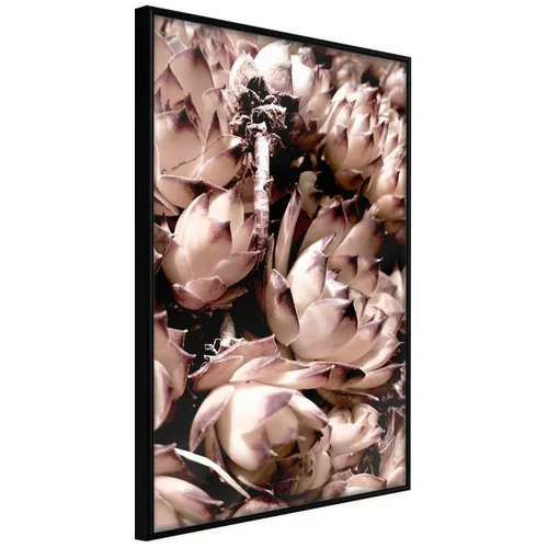  Poster - Autumnal Flowers 40x60