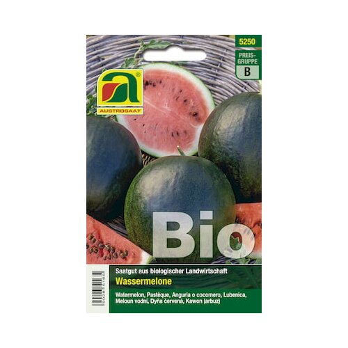 BIO lubenica Sugar Baby Slike