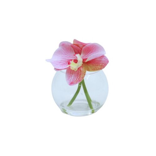 Dekordom Cvet orchid - n58 ( 025189 ) Cene