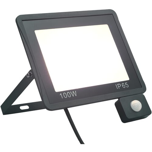 vidaXL LED reflektor s senzorjem 100 W hladno bel Cene