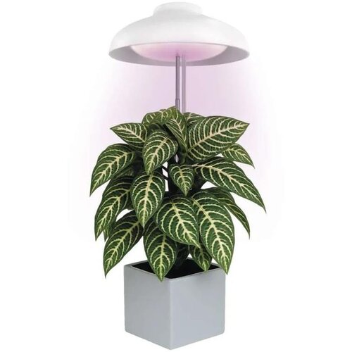  LED unutra&scaron;nja lampa za uzgoj biljaka GROW LED/5W/5V Cene