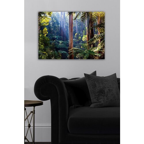 Wallity Slika 1082159894, 50x70 cm Cene