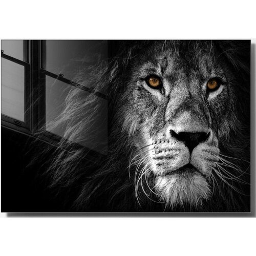 Wallity Steklena slika 70x50 cm Lion &amp;ndash; Wallity Slike