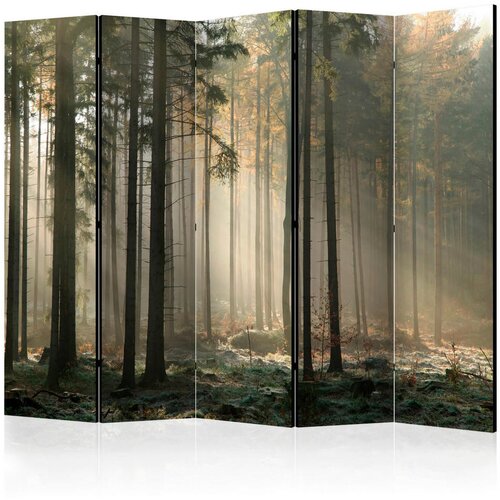 Artgeist PARAVAN 225/172/3 cm rjava, gozdno zelena Slike
