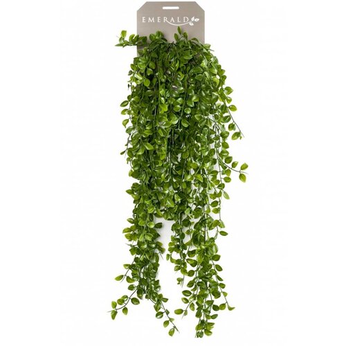 Emerald umjetni puzavi fikus 80 cm Slike