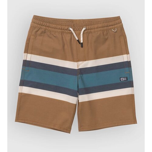 Salty Crew Crew Stripe Volley Kids Boardshorts bronze brown Cene