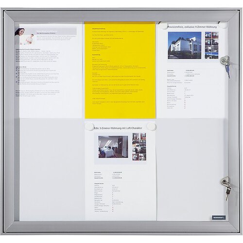 eurokraft pro Vitrina s krilnimi vrati, zunanje mere ŠxVxG 960 x 1005 x 33 mm, kovinska zadnja stena Cene