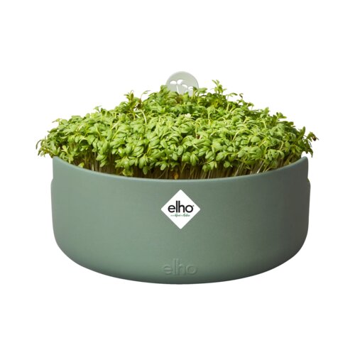 ELHO Lonec za gojenje Microgreens "magic microgreens" - Listnato zelena Cene