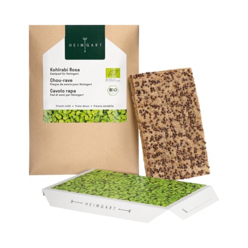 Heimgart Microgreens koleraba semenska blazinica Slike