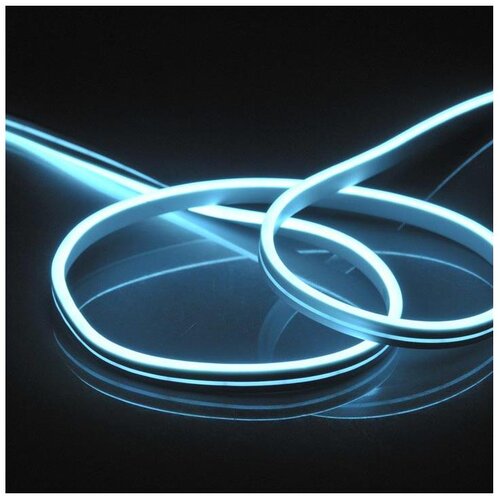  led traka neon 5m LED/40W/24V plava IP65 Cene