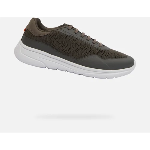 Geox Khaki men's sneakers Klaiver - Men's