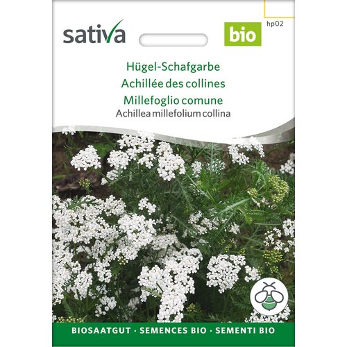 Sativa Bio hribovski rman - 1 pkt. Slike