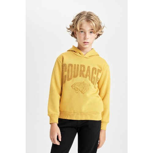 Defacto Boy Oversize Fit Printed Hooded Thick Sweatshirt Slike