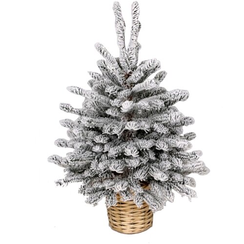  Jelka u saksijibela 60cm Slike