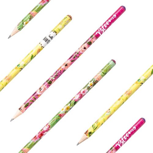 Plumbago rubby, grafitna olovka, cvetići, miks ( 101134 ) Slike