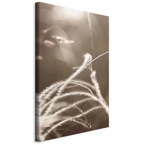  Slika - Fluffy Grass (1 Part) Vertical 40x60 Cijene