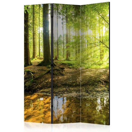  Paravan u 3 dijela - Forest Lake [Room Dividers] 135x172 Cijene