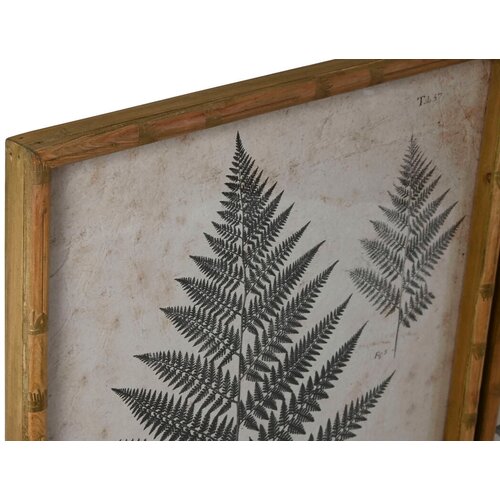  Slika Home ESPRIT Kristal Jela 50 x 3 x 70 cm 50 x 2,5 x 70 cm Slike