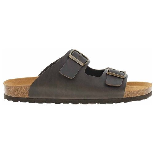 Ara Natikači 142950104 pisana Cene