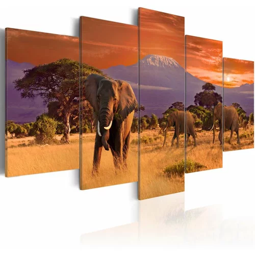  Slika - Africa: Elephants 100x50