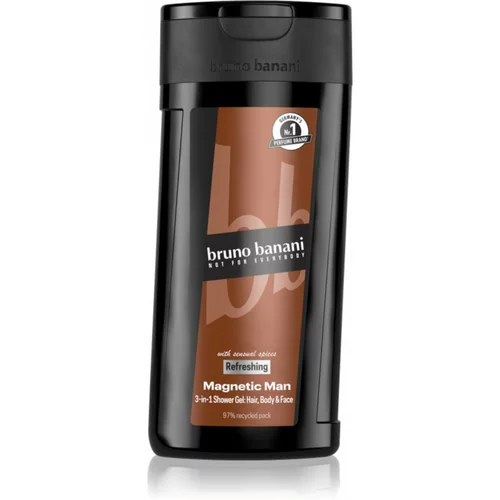 Bruno Banani Magnetic Man parfumirani gel za tuširanje 3 u 1 za muškarce 250 ml