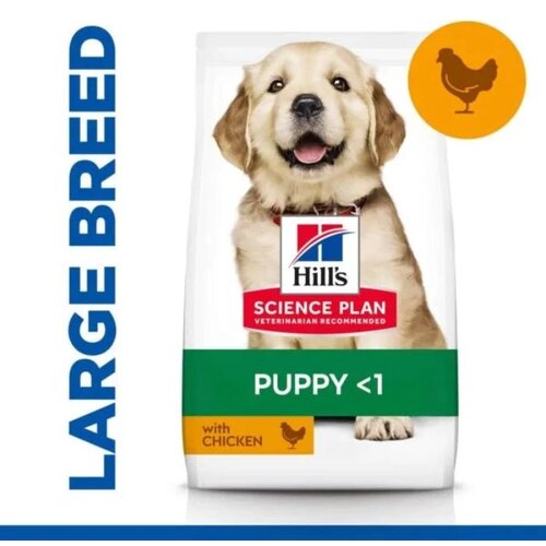 Hills's Science Hill’s science plan puppy large breed piletina Cene