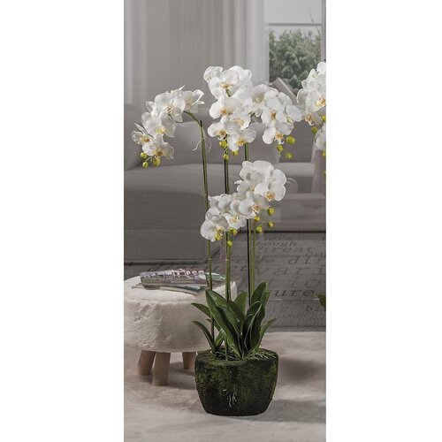  ORHIDEJA 110CM TOUCH 57715 Cijene