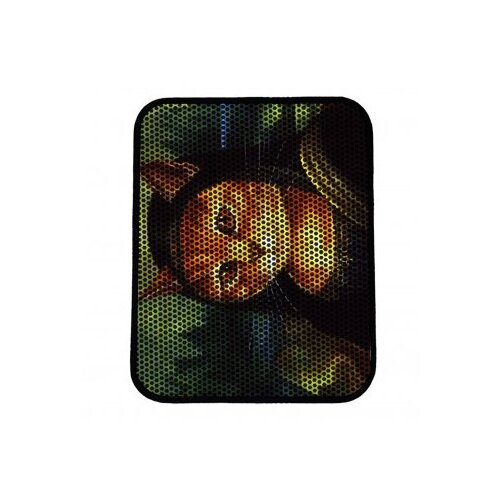 WALLXPERT Nrszn0133 Prostirka za mačke, 45x60cm, &Scaron;arena Cijene