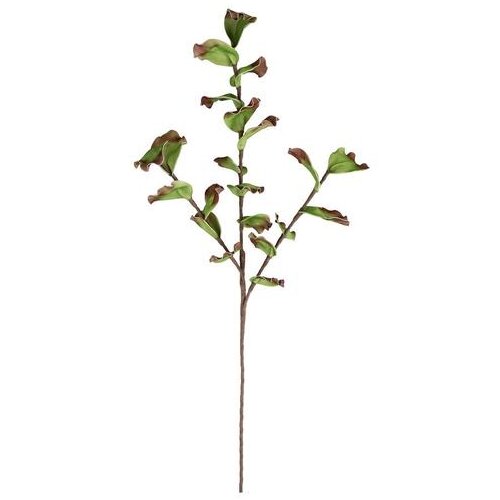 Dekorativna GRANA WALLIS 115CM BIZZOTTO Slike