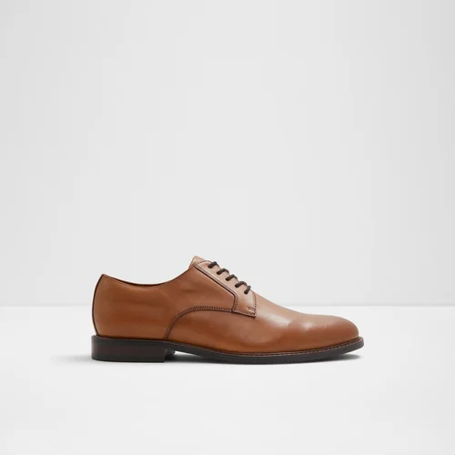 Aldo Shoes Hanfordd - Mens